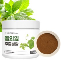 프리미엄 순수 100% 돌외잎 추출물 추출 분말 가루 사포닌 AMPK 효소 고농축 돌에잎 돌애잎 돌외입 돌에입 돌잎 들외잎 차 (+계량스푼 증정), 250그램 (g) x 1통