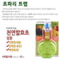 초파리 트랩 천연 주방 욕실 날파리 화장실 하수구