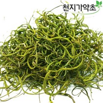 (롯데택배발송) 국내자연산 일엽초 10g 말린 일엽초, 1개