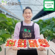 충남 논산 우수농산물(GAP) 인증 설향딸기, 설향 / 1.6kg내외 / 48~60입 / 25g내외