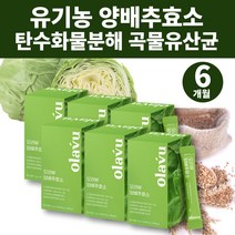소화잘되는 유기농 양배추 효소 파우더 단백질 탄수화물 분해효소 임산부 청소년 곡물 효소 유산균 효소제 엔자임효소 ENZYME 알파아밀라아제 역가수치 프로테아제 맛있는 효소 가루