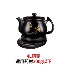 옹기약탕기 한의원 업소용 탕약기 도자기 가정용 티메이커 홍삼, F