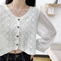 펀칭블라우스 레이스 여자 벌룬 자수 아일렛 브라우스 예쁜 빅사이즈 반팔 셔링 쉬폰 빅카라 셔츠