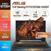 ASUS TUF Gaming F17 FX707ZM-HX037 인텔 12세대 i7-12700H RTX3060 윈도우11, 메카 그레이, FX707ZM, 코어i7, 1TB, 16GB, WIN11 Pro