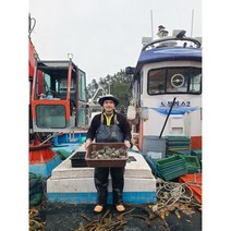 [삼복더위초특가]완도 청산도 활 전복 12미부터 20미까지 1kg 손질칼, 실속형18미(19마리)1kg손질칼증정