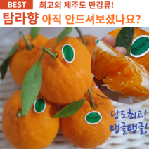고당도 귤 제주 만감류 탐라향 진지휘 선물세트 못난이 가정용 산지직송 농장직송 당도보장, 가정용 혼합과 3kg