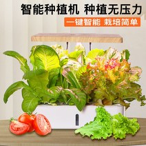 수경 식물 재배기 상추 스마트팜 채소 가정용 재배 텃밭 실내 키우기 야채 led 묘목, Z202 수경재배기 백미, 플라스틱, 중간