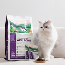 웰썸 캣 1.2kg WELLSOME 저알러지 관절 케어 고양이 사료, 07 키티춥스2 캣닢 볼 - 1개