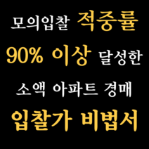 [좋은연필] (전자책) 모의입찰 적중률 90% 이상 달성한 소액 아파트 경매 입찰가 비법서