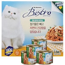 다이써 뉴트리나 비스트로 애묘용 캔사료 60g x 24 고양이 냥이 야옹이 간식, 1개, 3.84kg