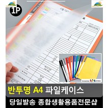 엑셀서류 간편정리 컬러풀 반투명 케이스 문구사이트 파일 문구용품 화일 종이파일