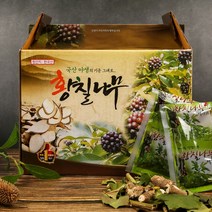 건강중심 국내산 황칠나무 엑기스 진액 100ml 60포