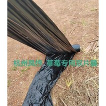 멀칭비닐 투명비닐 검정비닐 감자밭 텃밭 농사용 천공 마늘 잡초 모종 필름 농업용 롤 무공, 블랙 10kg  폭 0.75 m  실크 1.4 920m
