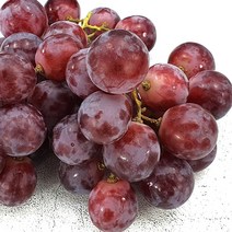 레드글로브 페루산 수입포도 1kg 거봉포도 적포도