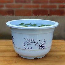 나무 수경 제공 그릇연꽃 수련 전용 두꺼운 플라스틱꽃 수반, C01-대