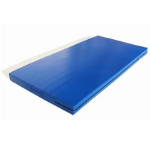 스폰지 매트 스포츠 높이뛰기 체조 댄스 태권도 보호 암벽 등반 무술 두꺼운 매트리스 깔판, 길이2m너비2m두께30cm밀도50의직선보드