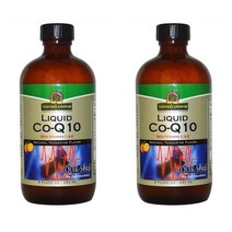 네이쳐스 앤서 리퀴드Co Q10 비타민 C E 240Ml 2개 Aa15080 세계적 톱상품 해외 현지 구매