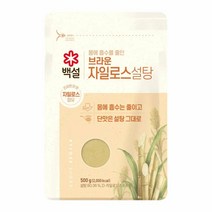 CJ 식자재 단짠단짠 백설 브라운 자일로스 설탕 500G 요리레시피 2개, 19세트