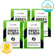 프롬바이오 관절연골엔 보스웰리아 + 생활집사 쇼핑백, 30정, 4개
