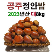공주밤 정안밤 알밤 햇밤 고맛나루밤 맛 대보 생율 햇 국산 특산물 간식 특산품 왕밤 대8kg