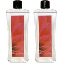 일본직발송 6. STAY (ステイフリー) 갈락토 프리미엄 100ML 갈락토미세스 액 원액 100% 미용액 (2개) B092, 2개, One Color