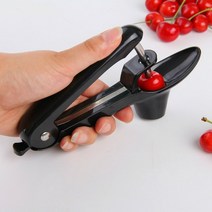 분리기 스텐레스 미니 사이즈 레드 대추 씨 제거기 핵 코어채취기 팬시 주방 작은공구 569081835
