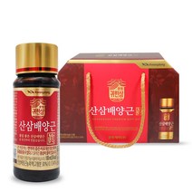 광동제약 산삼 배양근 진액, 100ml, 10개