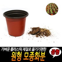 GO2shop GO2shop_ 인테리어화분 낮은화분 꽃화분 분재용화분 디자인화분 가정용화분, ★선택* 원형 모종화분 중형, 이제품주문★