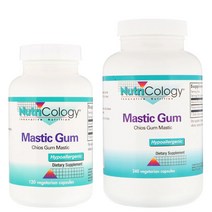 뉴트리콜로지 매스틱검 메스틱 메스틱검 매스틱껌 1000mg 120정 240정, 240정(120정 2개세트)