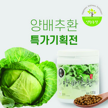 [양원농장] 국내산 양배추환 120g