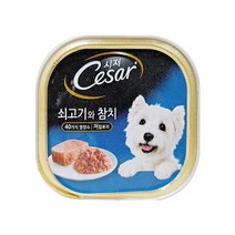 시저 반려견 주식캔, 소+참치, 100g, 6개