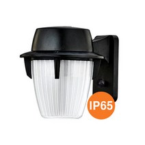 DSE 히포 LED 방수 벽부등 15W (흑색), 주광색(6500K)