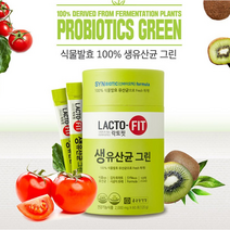 내몸의활력 효소 유산균 3세대 락토핏 장내유익균 뚱보균 식물성 장에좋은 비타민 유산균, 생유산균 키즈 50포(어린이)