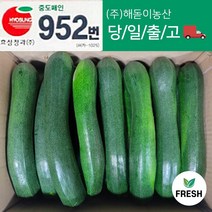국내산 쥬키니 호박 특품 [노블프레쉬], 쥬키니 10kg (약 14~18개 내외)