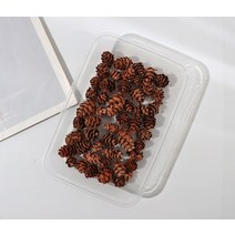 천연 식물 말린 꽃 재료 패키지 DIY 아로마 테라피 왁스 슬라이스 선물 상자 에폭시 수지 보석 만들기 액세, 11 Small pine cone