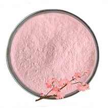 벚꽃추출분말 100g 샘플, 단품, 단품