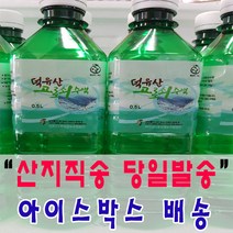 (아이스박스 배송) 첫물 달콤한 청정 덕유산 100% 고로쇠수액 당일발송, 4.5L, 2개