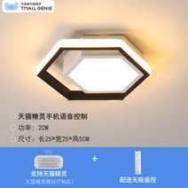 통로 조명 복도 조명 LED 현관 천장 조명 창의적인 개성 발코니 조명 산책로-43420, 옵션05