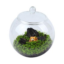 DIY 글래시어 테라리움 씨앗 수초 키우기세트, 단품