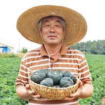 과일꾼 미니 밤호박 단호박 보우짱 국내산 가정용 특품 세척 비세척, 미니밤호박 4kg(7-16개), 1개