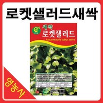 새싹로켓셀러드씨앗- 새싹무순 로켓셀러드씨 새싹씨앗 싹채소키우기 어린채소씨앗 학습용 사계절용 재배, 베이비청오크