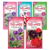 야생화씨앗 수입꽃 100선 가든엔씨앗 톱풀파스텔 배초향 알케밀라 제비고깔 수레국화 제라늄, 오스테오스펠멈