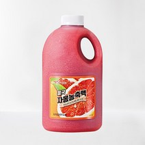 흥국 자몽 농축액 1.5L 스무디 에이드, 자몽＋아이스박스