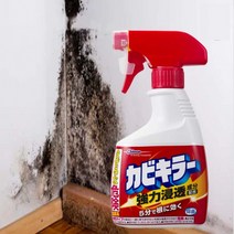 곰팡이 뿌리까지 없애주는 곰팡이제거제 스프레이 타입 창틀 실리콘 화장실 줄눈 벽지 천장 얼룩 곰팡이제거, 리필(400ml)