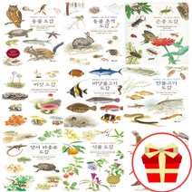 세밀화로 그린 보리 어린이 도감 시리즈 책 동물 흔적 갯벌 곤충 나무 민물 바닷 물고기 버섯 새 식물 양서류 파충류, 새 도감