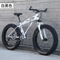 산악자전거 MTB 로드 입문용 4.0 대형 타이어, 21속, 20인치, 화이트