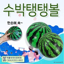 비치볼 [수박탱탱볼] 비치볼/물놀이공/워터볼/장난감공/탱탱공/어린이용 고무공/물놀이용품, 수박탱탱볼