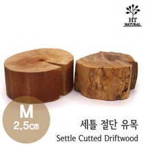 세틀 세틀 절단 유목 M (2.5cm), 1개
