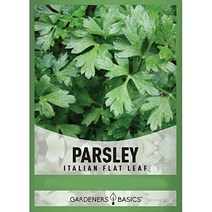 이탈리안 파슬리씨앗 허브 이태리 파슬리 씨 종자, 로즈마리
