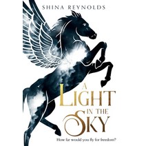 (영문도서) A Light in the Sky Hardcover, Wink Road Press, English, 9781733451109